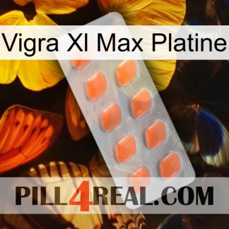 Vigra Xl Max Platinum 26